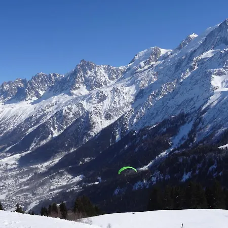 Studio Plein Sud. Vallee De Chamonix. Pieds De Pistes. *
