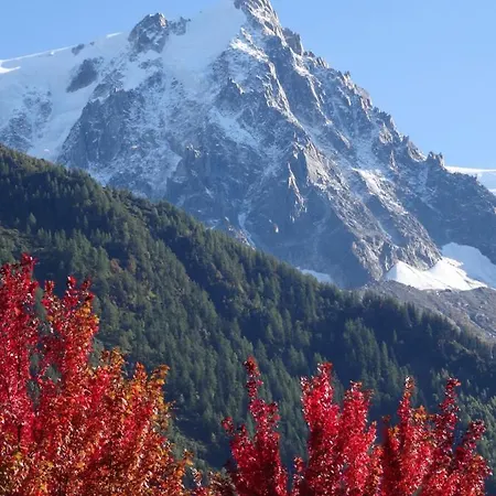 아파트 Studio Plein Sud. Vallee De Chamonix. Pieds De Pistes. 레우쉬