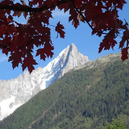Studio Plein Sud. Vallee De Chamonix. Pieds De Pistes. *
